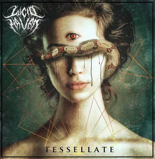 Lucid Haven : Tessellate